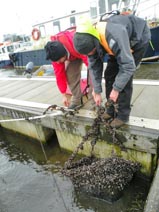 Oriel Science Invasive species sampling 